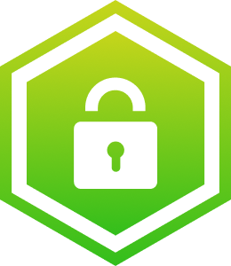 Logo Icon
